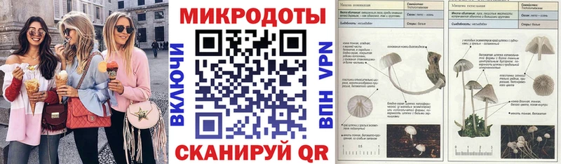 Псилоцибиновые грибы мухоморы продажа наркотиков Грайворон