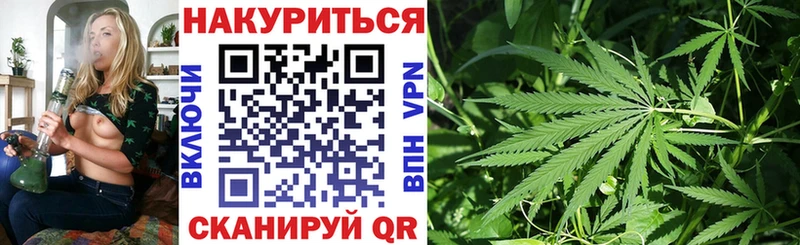 хочу наркоту  Грайворон  hydra как войти  Каннабис семена 